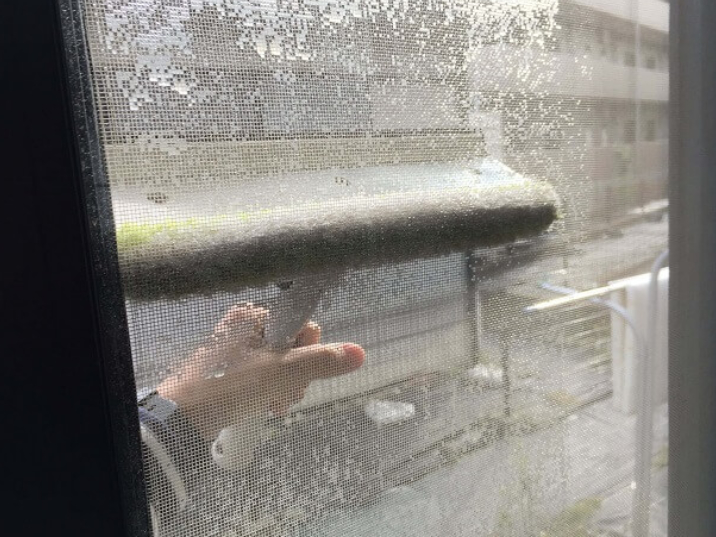 窓掃除ワイパ―で網戸に拭き跡が残るかどうかの実験