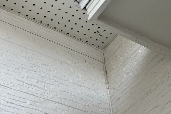 外壁の掃除方法