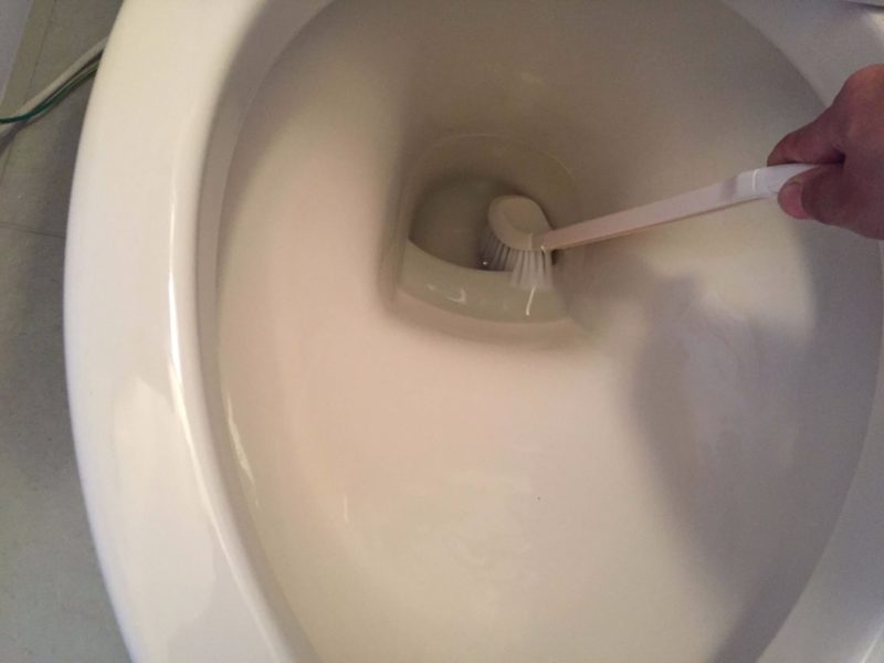 「100均トイレブラシ」でトイレ内の水たまりを掃除したら